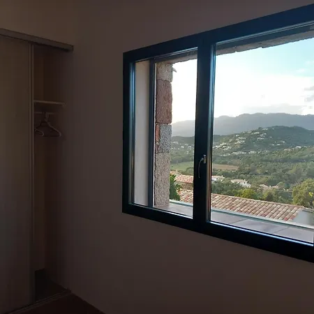 Fiori 1